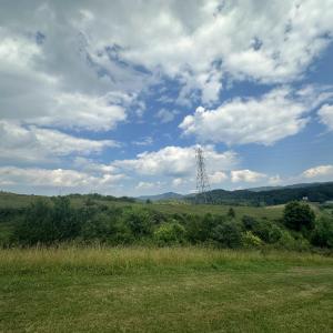 IMG_20250408_100121 (2)