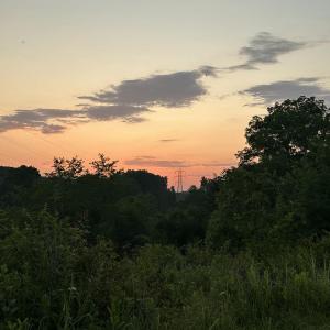 IMG_20250408_100121 (1)