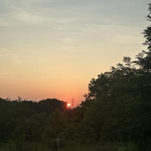 IMG_20250408_100121