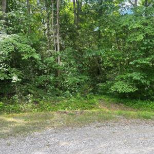 Photo #2 of 5517 FOREST VIEW DR, PARTLOW, VA 5.0 acres