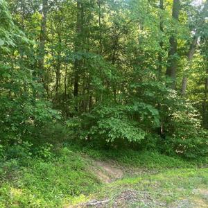 Photo #1 of 5517 FOREST VIEW DR, PARTLOW, VA 5.0 acres