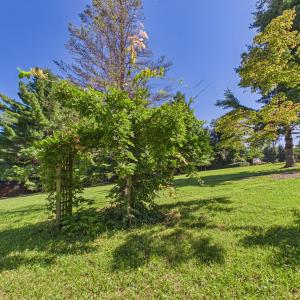 Ridge Oak (6)