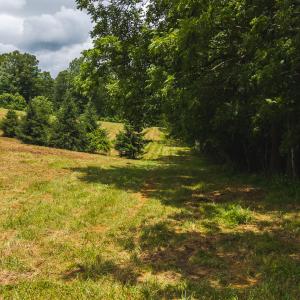 DJI_20250618131741_0379_D