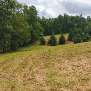 DJI_20250618132556_0401_D