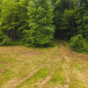 DJI_20250618133535_0423_D