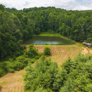 DJI_20250618133706_0430_D