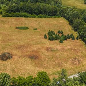 DJI_20250618135147_0436_D