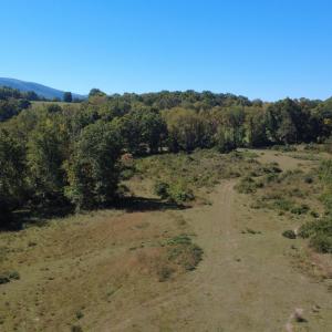 DJI_0654