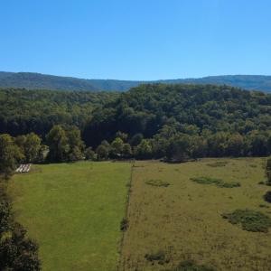 DJI_0686