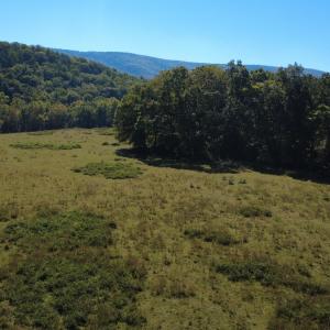 DJI_0699
