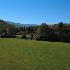 DJI_0702