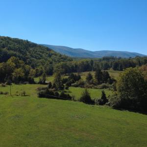 DJI_0703