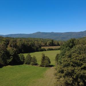 DJI_0707