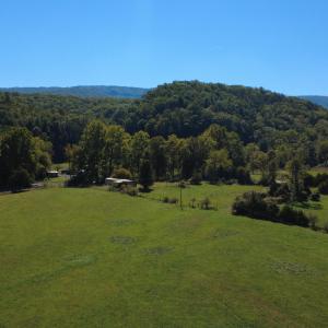 DJI_0708
