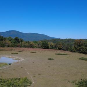 DJI_0659