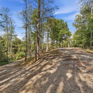 06-853Juniper_006