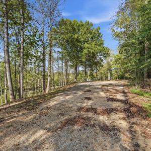 07-853Juniper_001