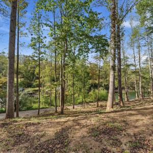 08-853Juniper_002