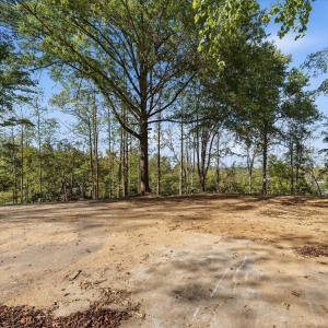 10-853Juniper_005