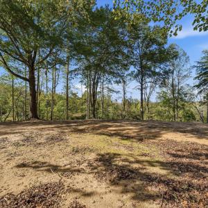 11-853Juniper_004