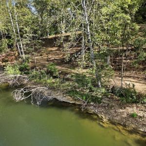 16-853Juniper_006