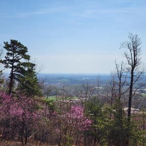 Lot 44 summit