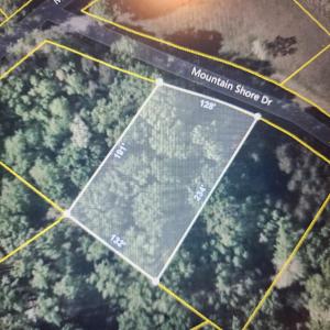 GIS Overview