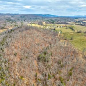 39-38-186-DJI_0981And4more