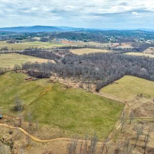 41-40-196-DJI_0991And4more