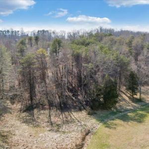 02-DJI_20250312152418_0013_D