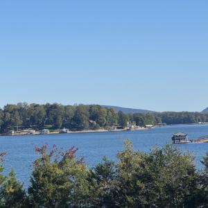 IMG_0265