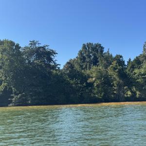 full pond
