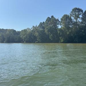 full pond