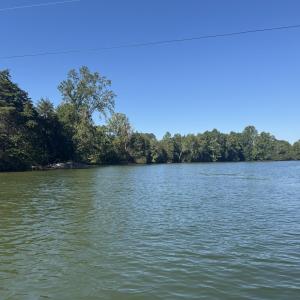 full pond