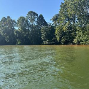 shoreline - Copy (2)