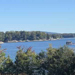 IMG_0267