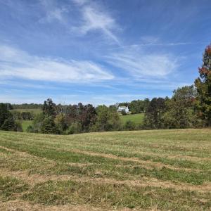 20261002_122226