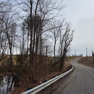 Photo #7 of  35.0 acres