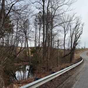 Photo #8 of  35.0 acres