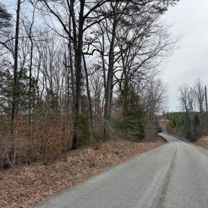 Photo #9 of  35.0 acres