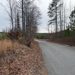 Photo #13 of  35.0 acres