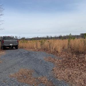 Photo #16 of  35.0 acres