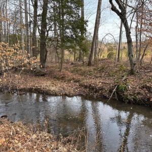 Photo #26 of  35.0 acres