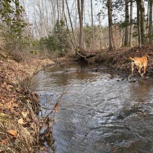 Photo #27 of  35.0 acres