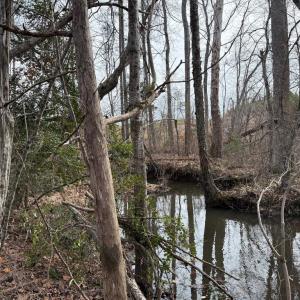 Photo #33 of  35.0 acres