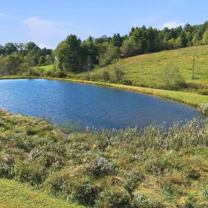 09-008_DJI_20261008152852_0011_D