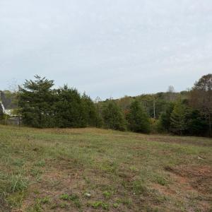 Lot 5