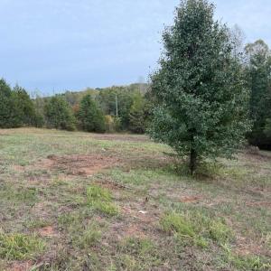 LOt 5a