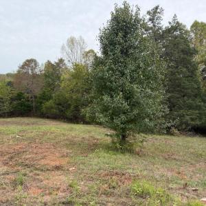 lot 5d