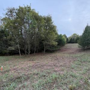 Lot 4